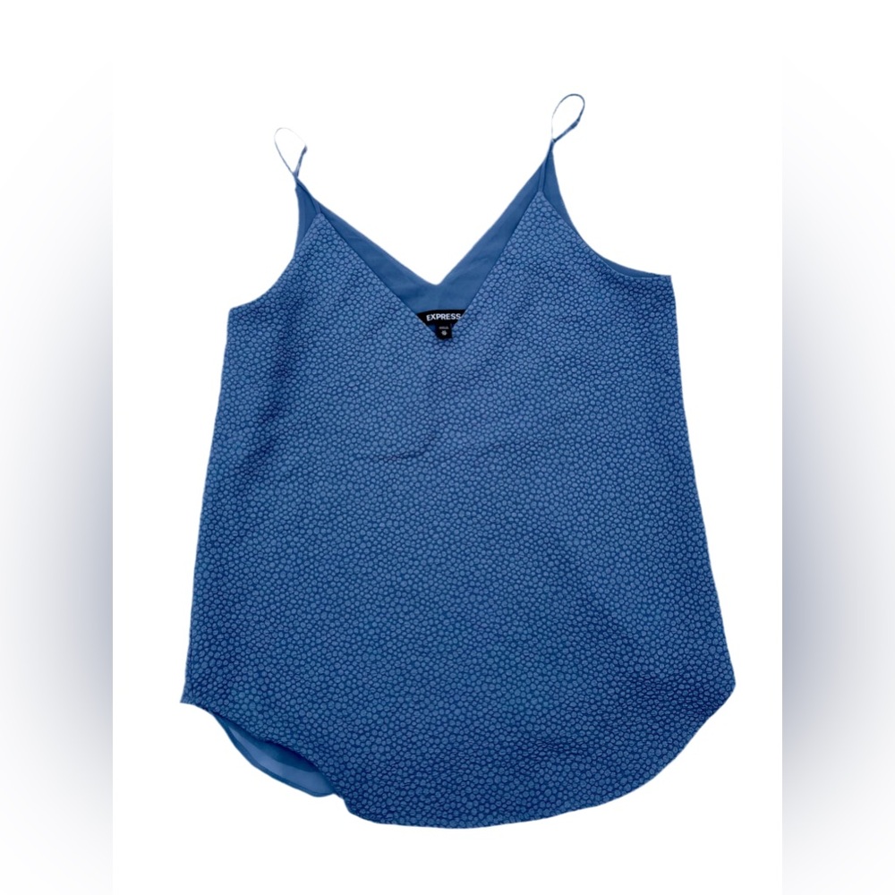 Express Blue Sleeveless Camisole with V-Neck